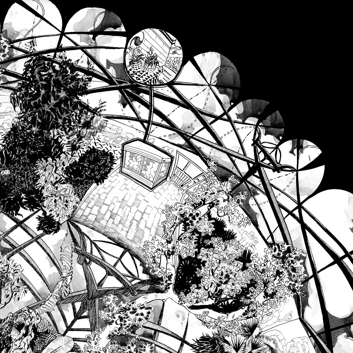Image 48x48